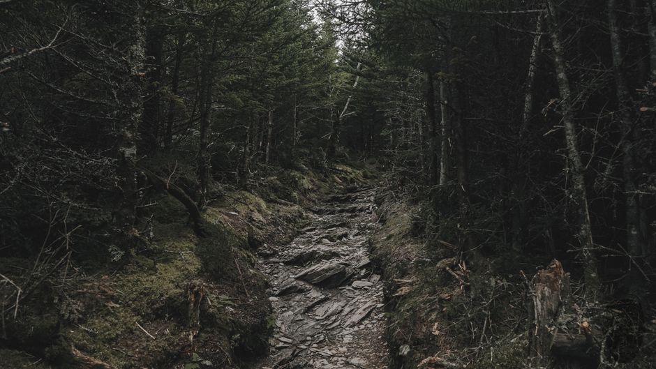 A Balanced Approach To Wellness: Practical Steps You Can Use
