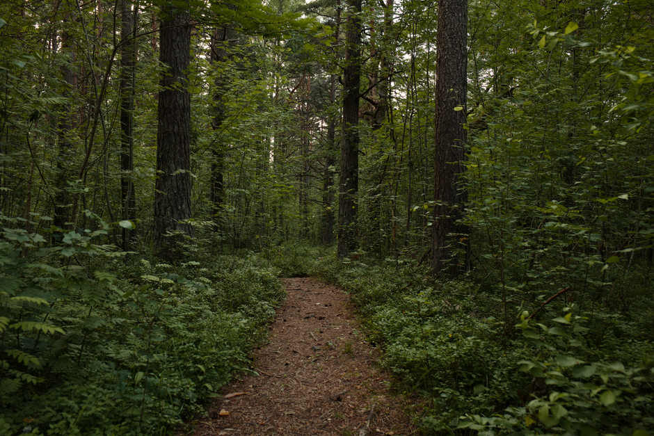 Building a Daily Routine Around Simplicity As A Health Strategy