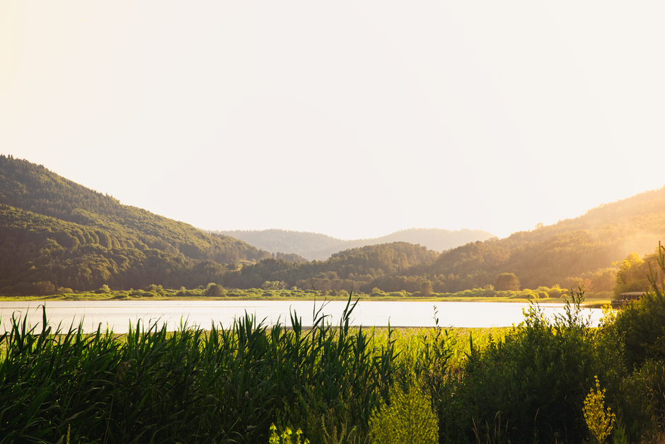 Building a Daily Routine Around Stress: Signal, Response And Recovery