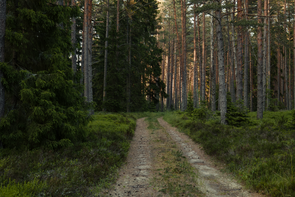 Building a Daily Routine Around Wellness At Different Life Stages