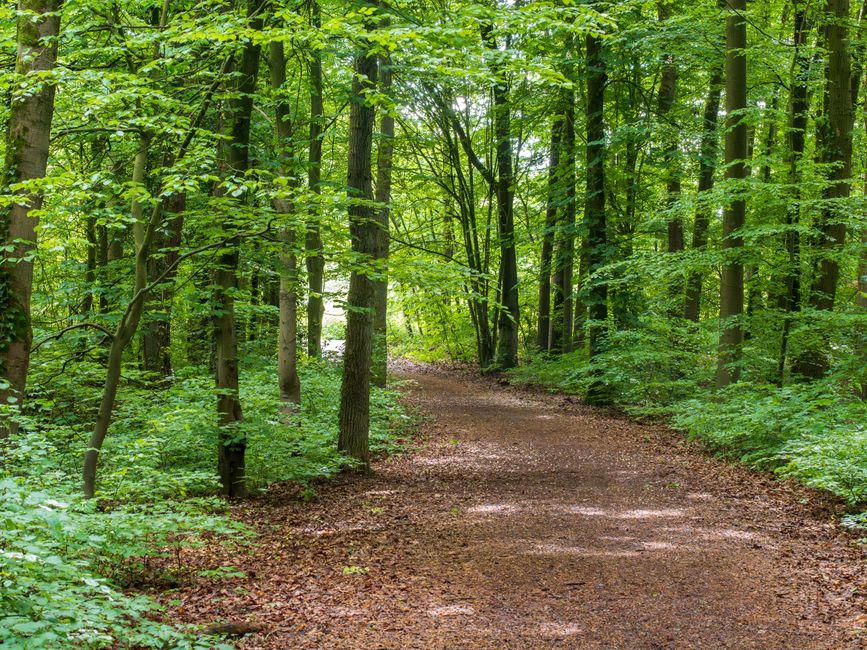 Caring For Your Overall Health as a Daily Habit