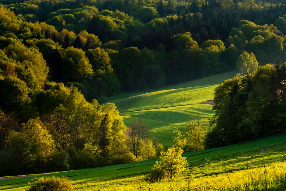 Health As A Daily Practice as the Years Add Up