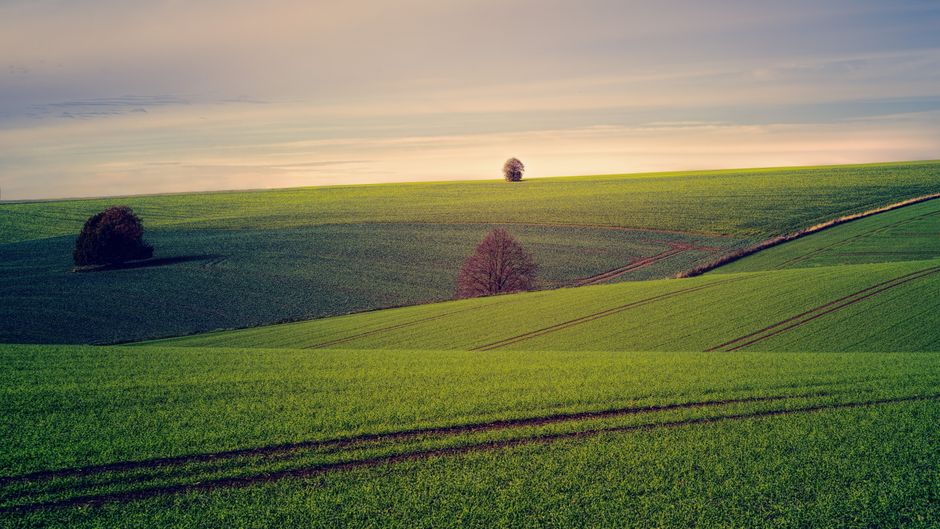 Where to Begin With Health As A Daily Practice, One Step at a Time