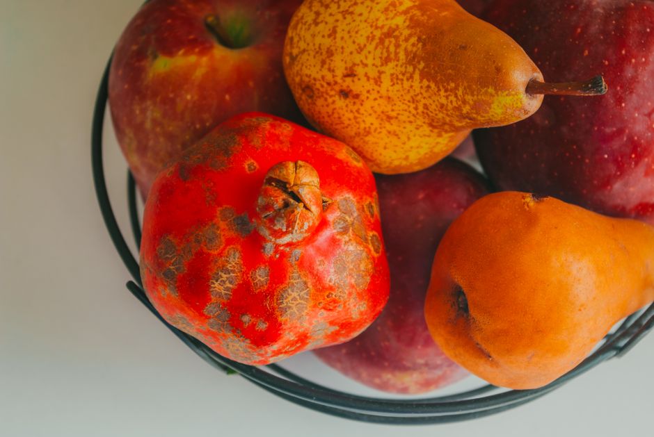Health Through The Seasons: Sorting Fact From Fiction