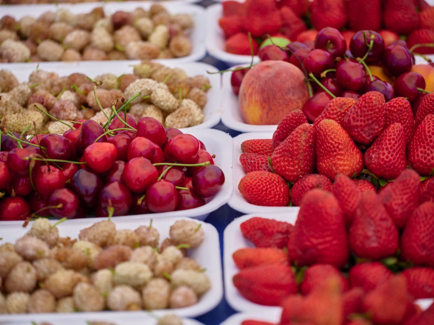 Health Through The Seasons: What Actually Works