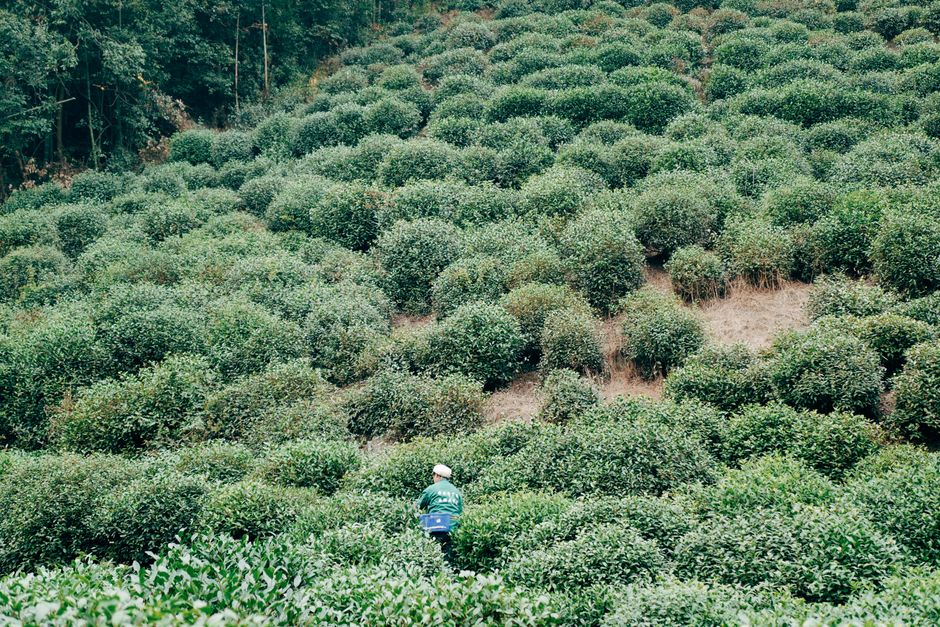 Hydration, Breath And The Overlooked Basics for Busy People