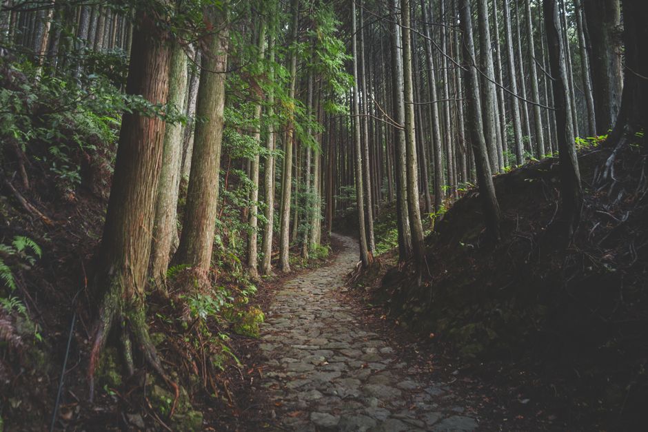 Moving More Without Going To A Gym: Making It Part of Your Day