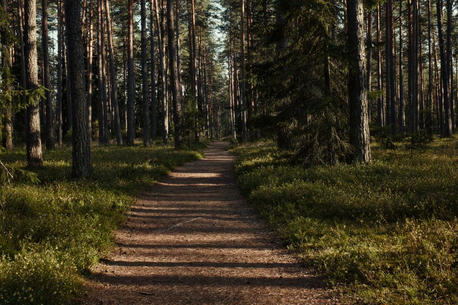 Strength Training After Fifty: What Changes With Age