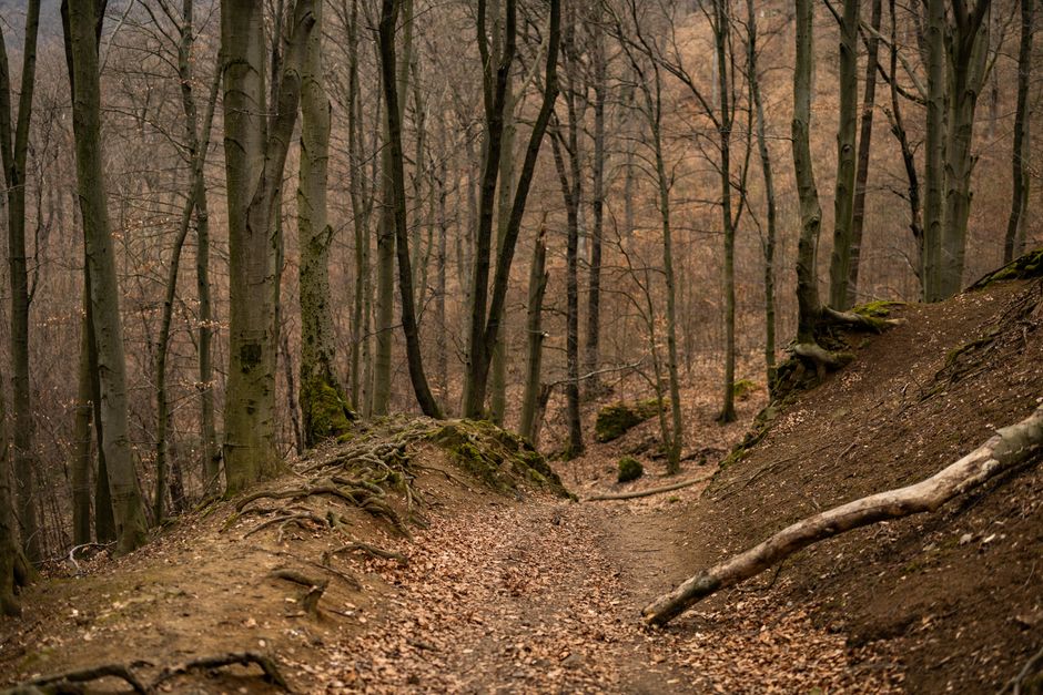 The Habit Of Moving Through The Day: Making It Part of Your Day