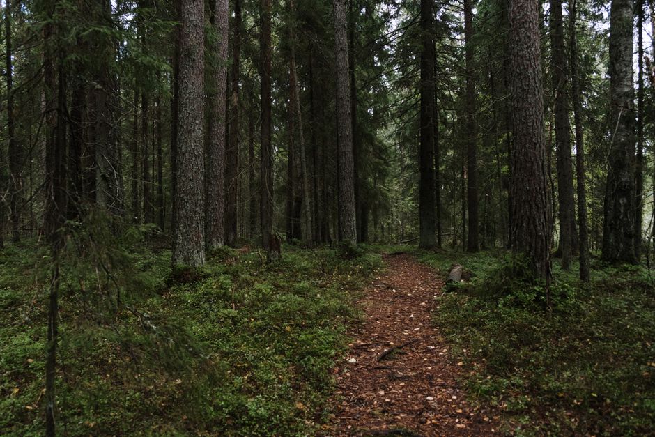 The Habit Of Moving Through The Day: Where to Start