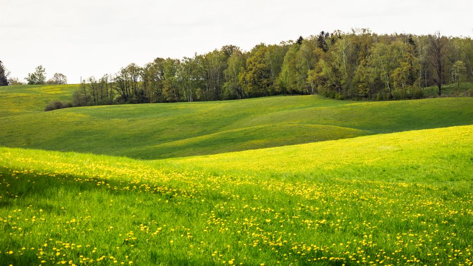 Holding On to The Importance Of Personal Well-Being Over Time, Without the Hype