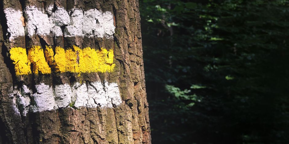 The Ordinary Virtues Of Walking: Practical Steps You Can Use