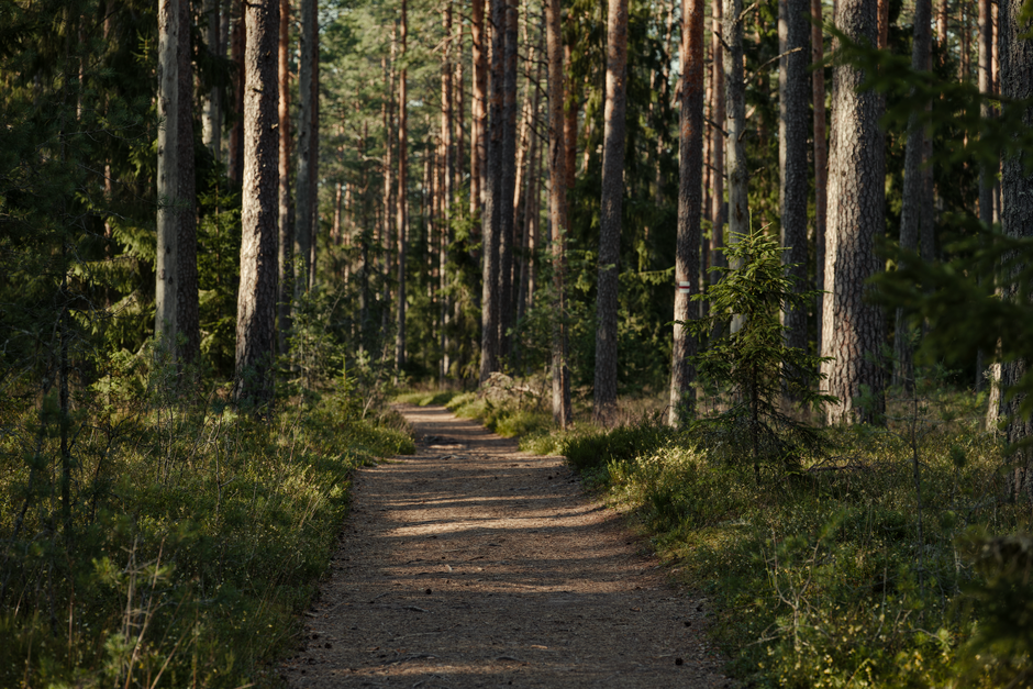 The Pleasure Principle In Healthy Living: A Time-Friendly Approach