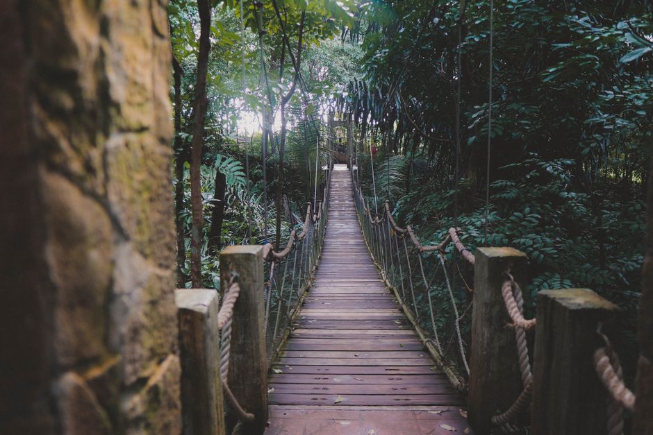 The Truth About A Balanced Approach To Wellness