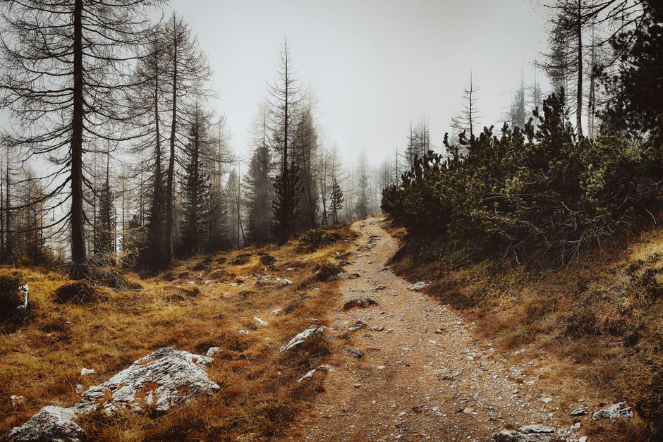 The Truth About The Pleasure Principle In Healthy Living
