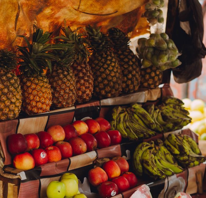 Understanding Everyday Wellness Tips in Plain Terms