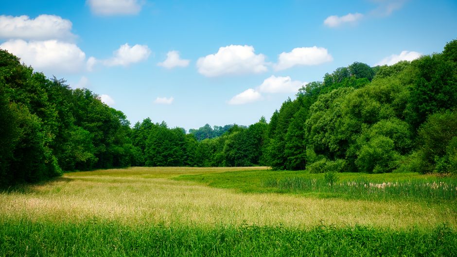 Understanding Health And Wellness: Where to Start