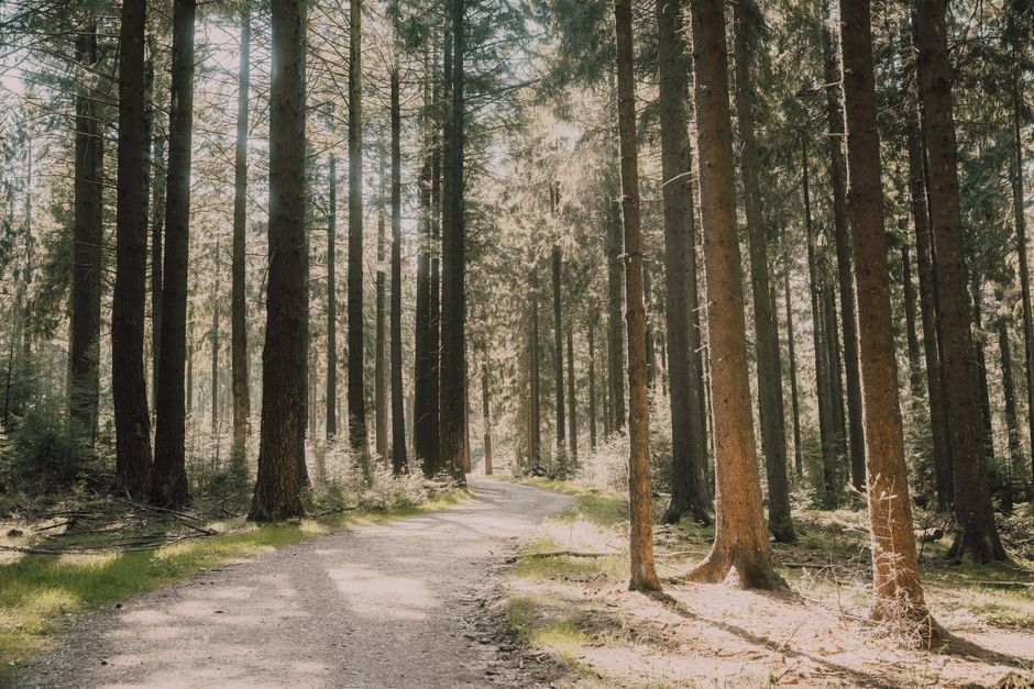 Wellness At Different Life Stages: What Actually Works